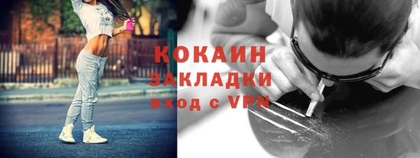 сатива Балахна