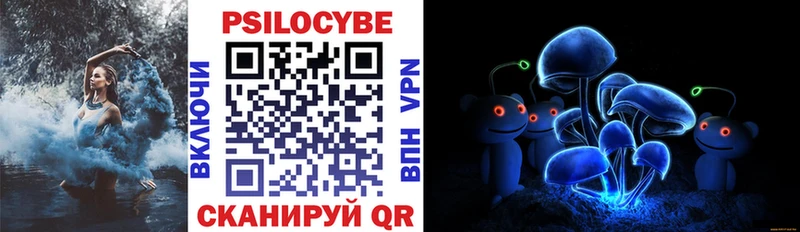 где можно купить omg ССЫЛКА Галлюциногенные грибы Cubensis Муравленко